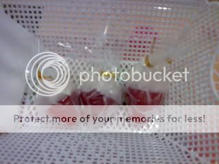 Photobucket Image Hosting