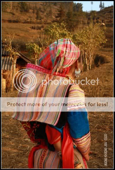 IMG_1102.jpg picture by nga_dhd