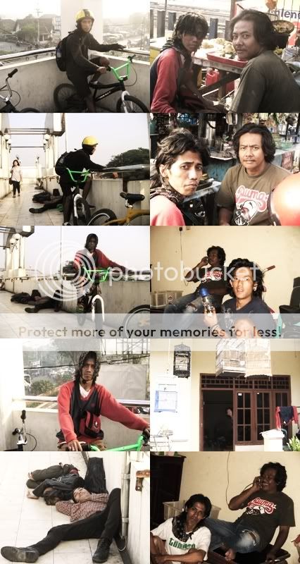 Bungurasih,nona acacicu