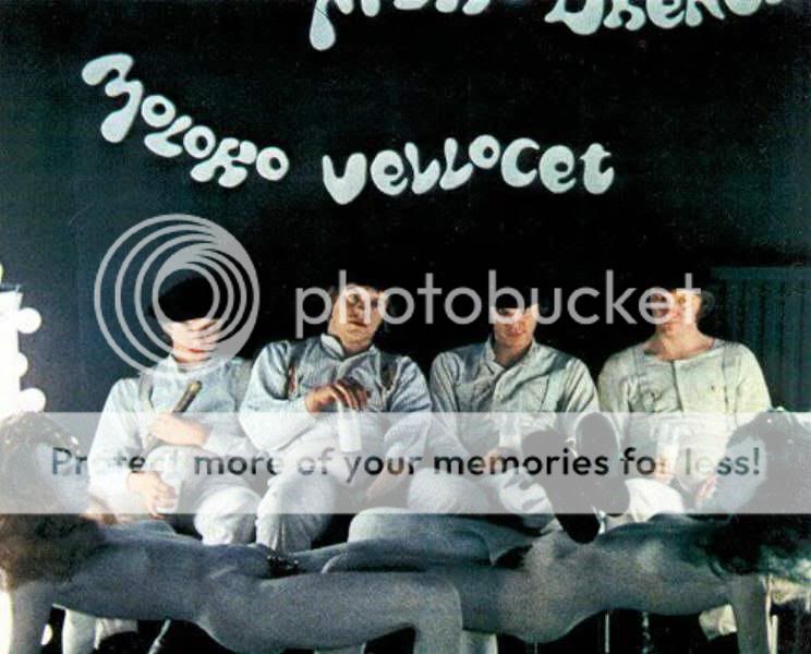 a clockwork orange photo: A Clockwork Orange a-clockwork-orange-alex-at-the-koro.jpg