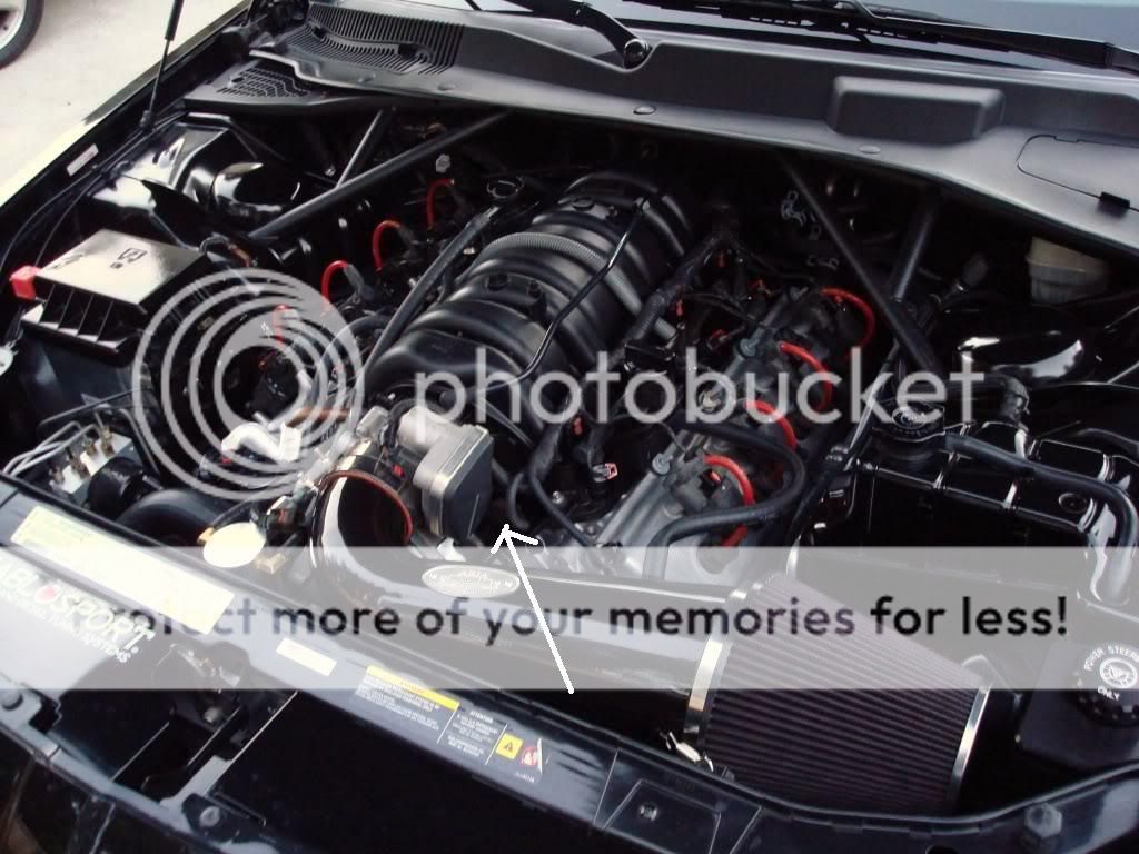 engine temp gauge died on the way to work today Custom