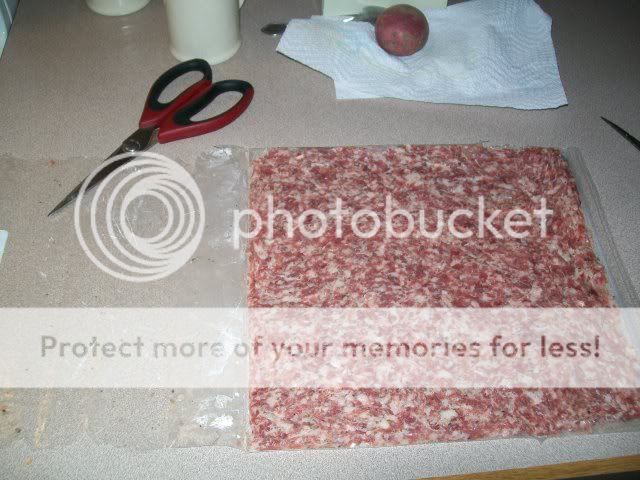 100_0450-1.jpg
